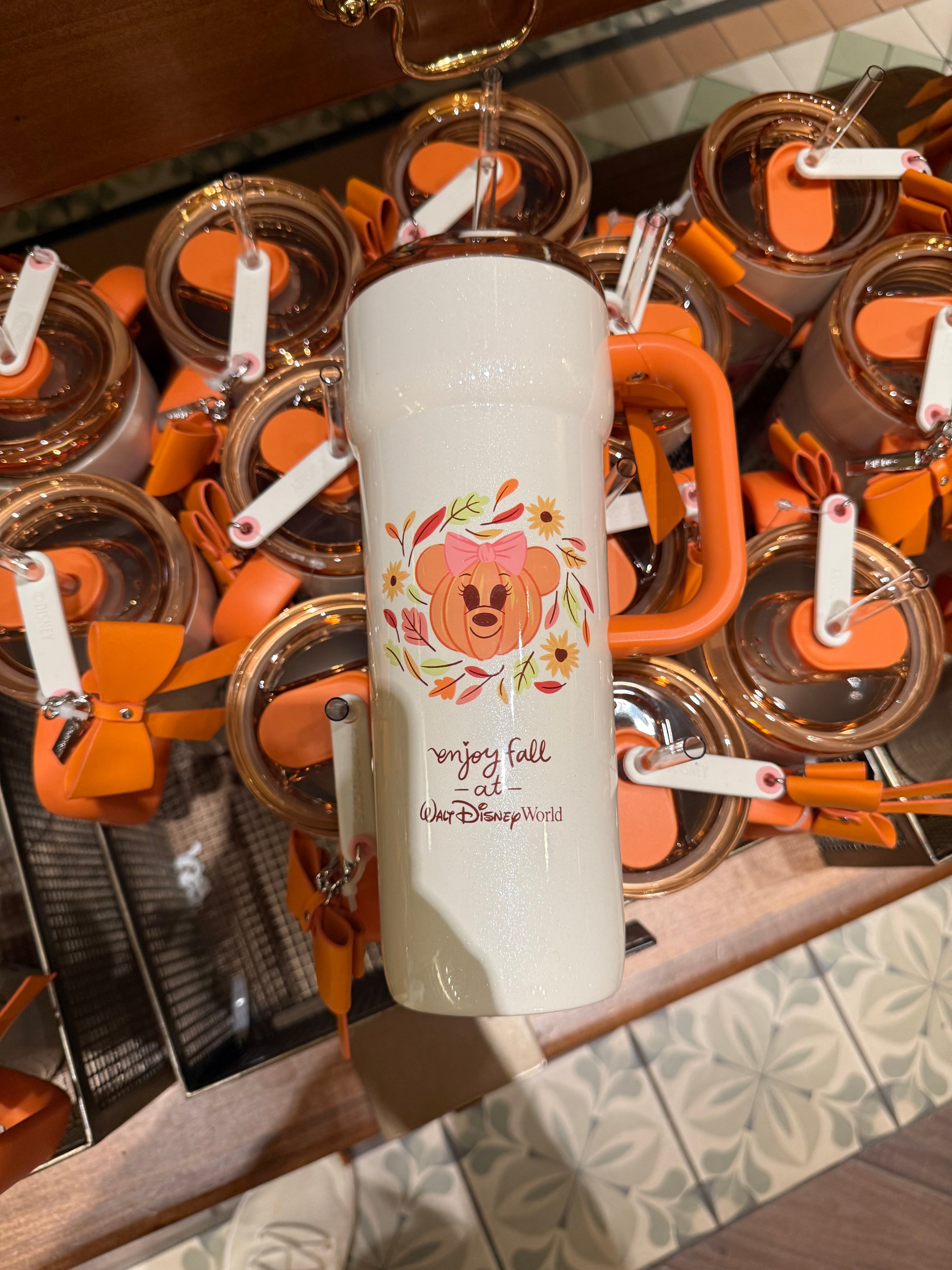 Starbucks Fall Tumbler