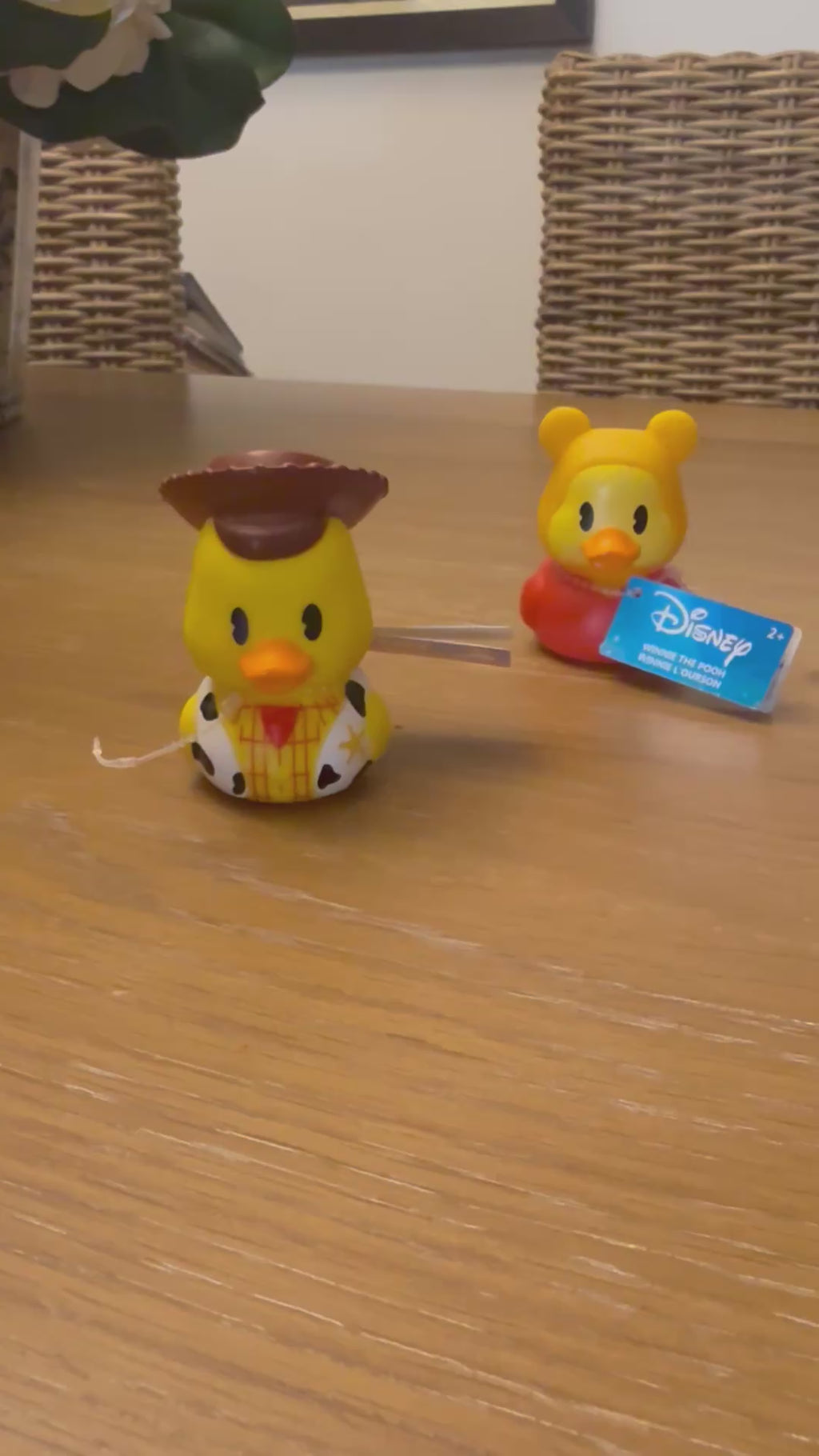 Disney Mini Ducks!