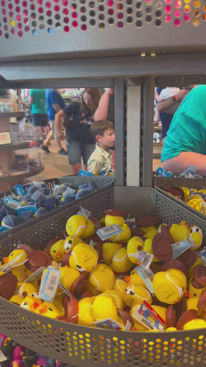 Disney Mini Ducks!